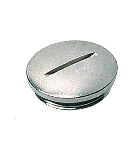 Dummy plugs